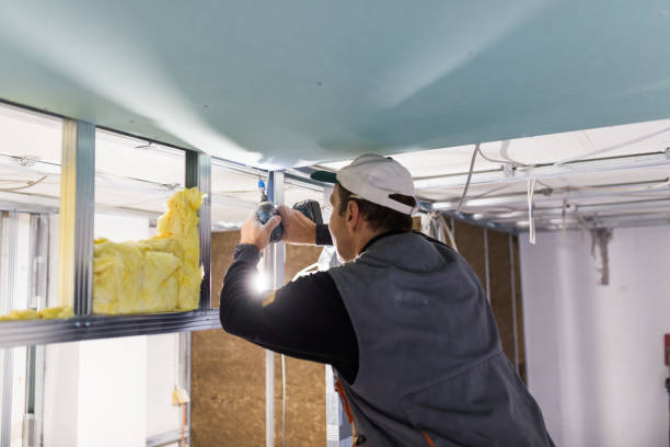 Best Types of Insulation in Northglenn, CO